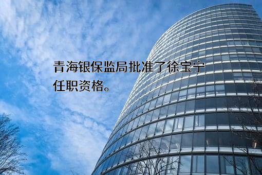 西部矿业集团财务有限公司