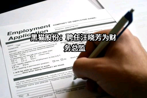 江西黑猫炭黑股份有限公司