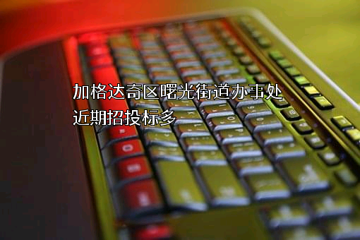 加格达奇区曙光街道办事处