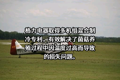 珠海格力电器股份有限公司