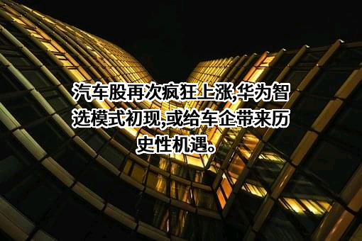 华为技术有限公司