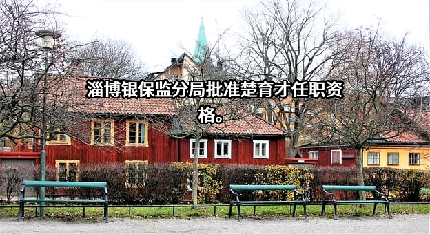 青岛华兴保险代理有限公司