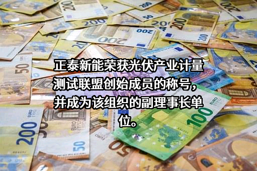 上海正泰新能电源系统有限责任公司