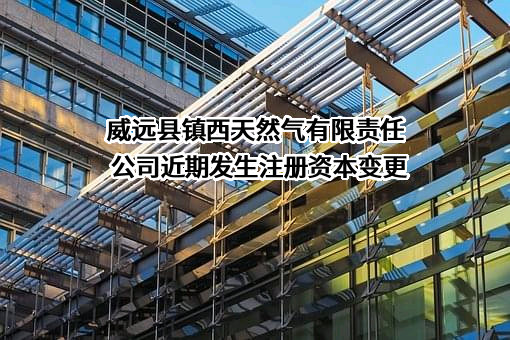 威远县镇西天然气有限责任公司