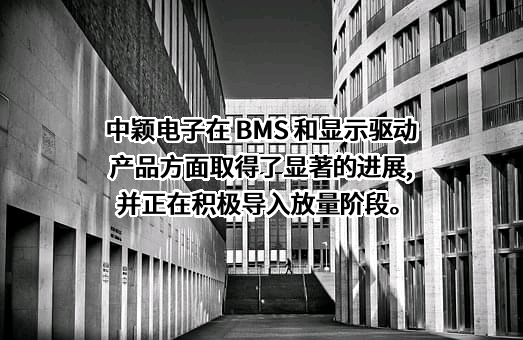 中颖电子股份有限公司