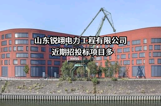山东锐翊电力工程有限公司