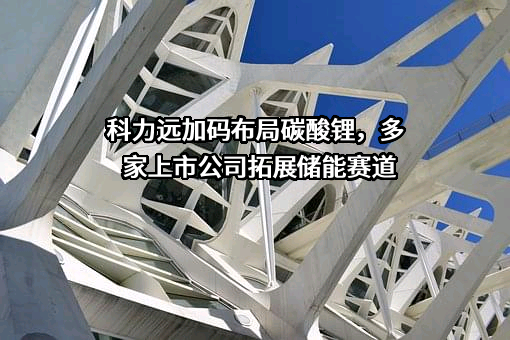 湖南科力远新能源股份有限公司