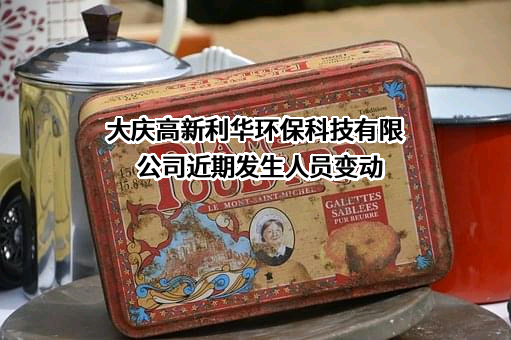 大庆高新利华环保科技有限公司