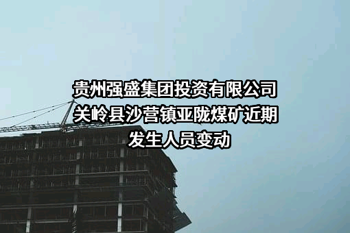贵州强盛集团投资有限公司关岭县沙营镇亚陇煤矿