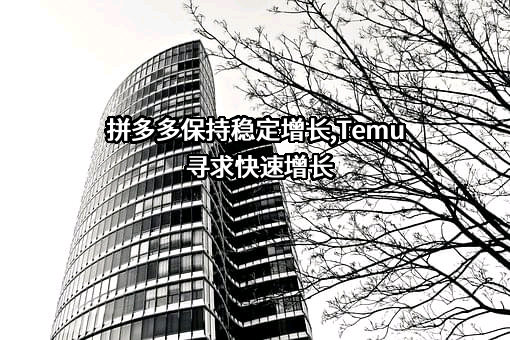 上海寻梦信息技术有限公司