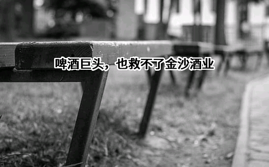 华润啤酒（控股）有限公司