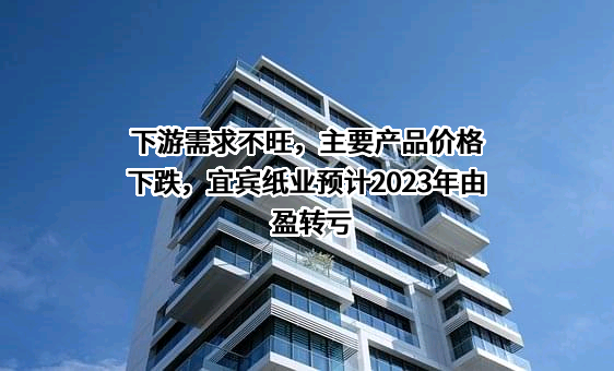 宜宾纸业股份有限公司