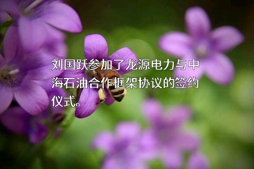 龙源电力集团股份有限公司