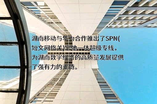 中国移动通信集团湖南有限公司