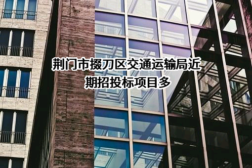 荆门市掇刀区交通运输局