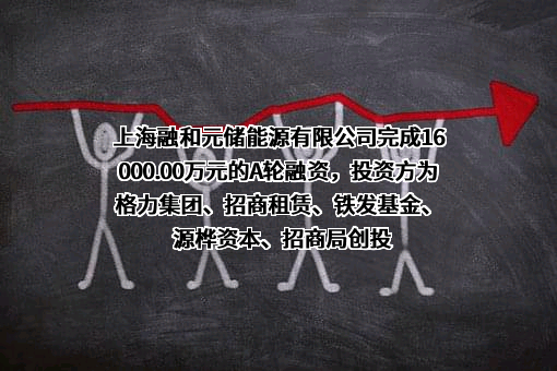 上海融和元储能源有限公司