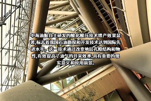 中海油田服务股份有限公司