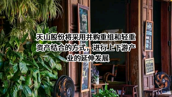 新疆天山水泥股份有限公司