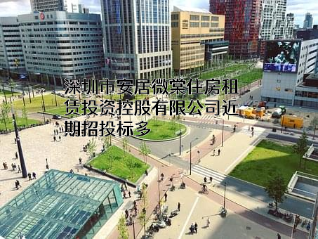 深圳市安居微棠住房租赁投资控股有限公司