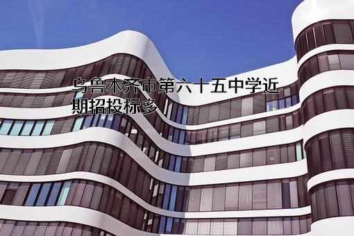 乌鲁木齐市第六十五中学