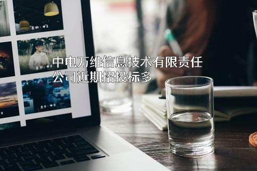 中电万维信息技术有限责任公司