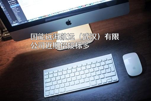 国能远海航运（武汉）有限公司