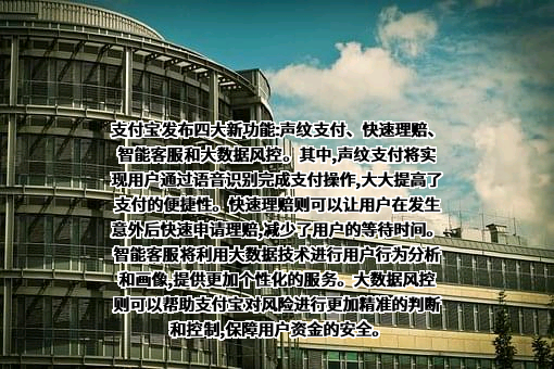 支付宝（中国）网络技术有限公司