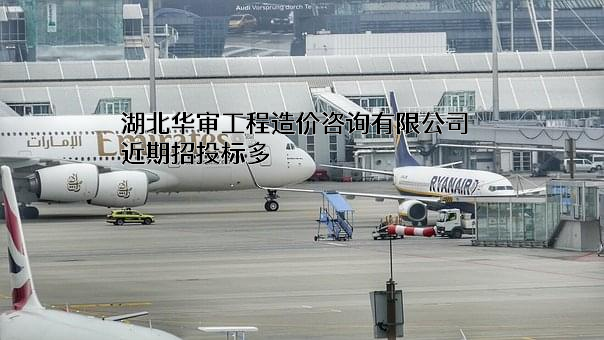 湖北华审工程造价咨询有限公司