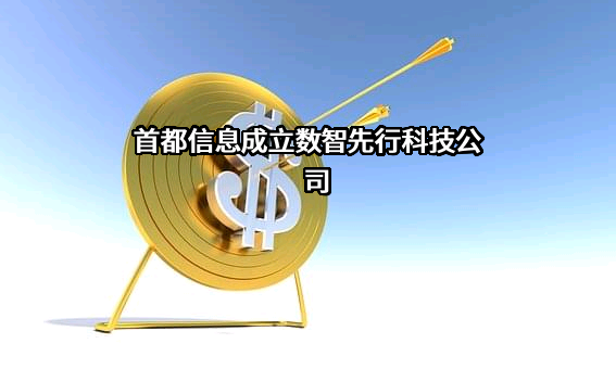 首都信息发展股份有限公司
