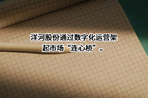 江苏洋河酒厂股份有限公司