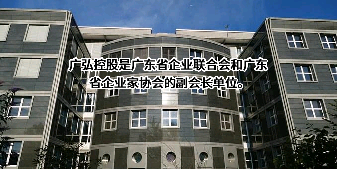 广东广弘控股股份有限公司