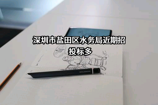 深圳市盐田区水务局