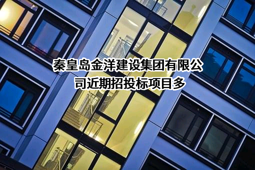 秦皇岛金洋建设集团有限公司