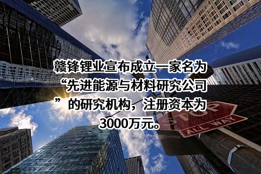 江西赣锋锂业股份有限公司