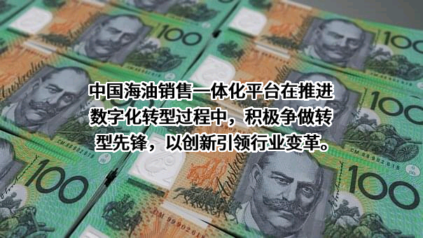 中海油电力投资有限公司