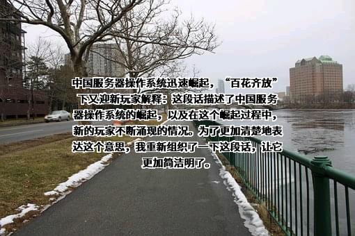 浪潮电子信息产业股份有限公司