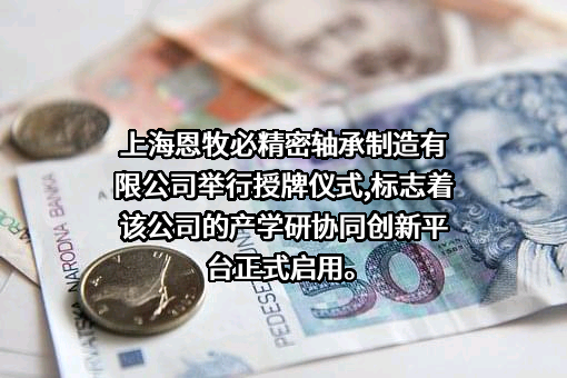 上海恩牧必精密轴承制造有限公司