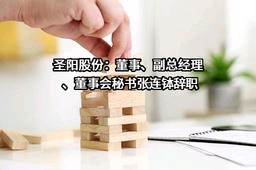 山东圣阳电源股份有限公司