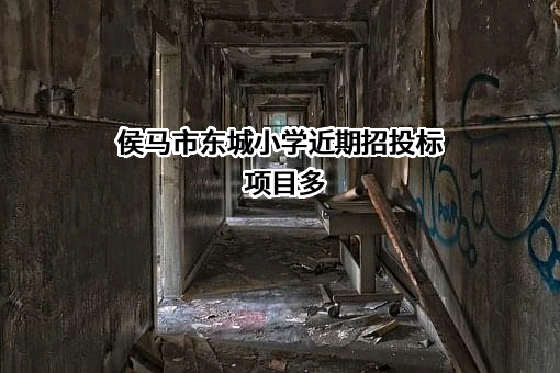 侯马市东城小学