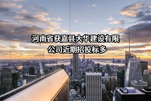 河南省获嘉县大华建设有限公司