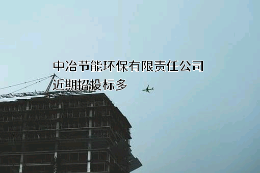 中冶节能环保有限责任公司