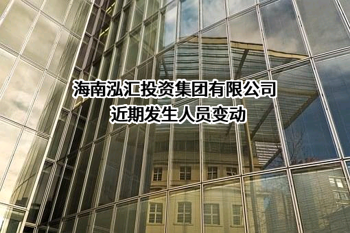 海南泓汇投资集团有限公司
