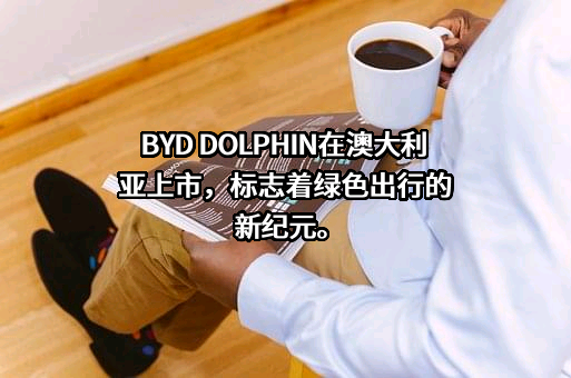 比亚迪股份有限公司