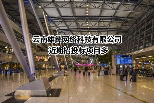 云南雄彝网络科技有限公司