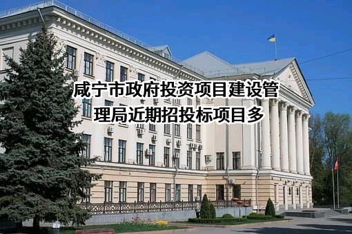 咸宁市政府投资项目建设管理局近期招投标项目多