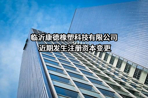 临沂康德橡塑科技有限公司