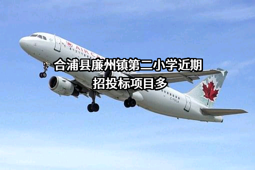 合浦县廉州镇第二小学