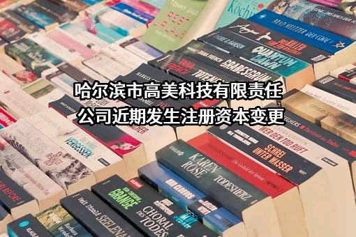 哈尔滨市高美科技有限责任公司