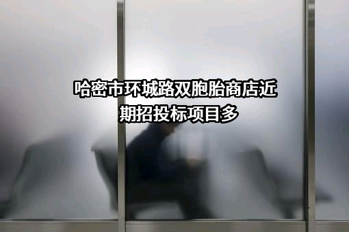 哈密市环城路双胞胎商店