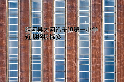 精河县大河沿子镇第一小学近期招投标项目多